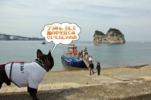 白浜に行ってました 白浜に行ってました